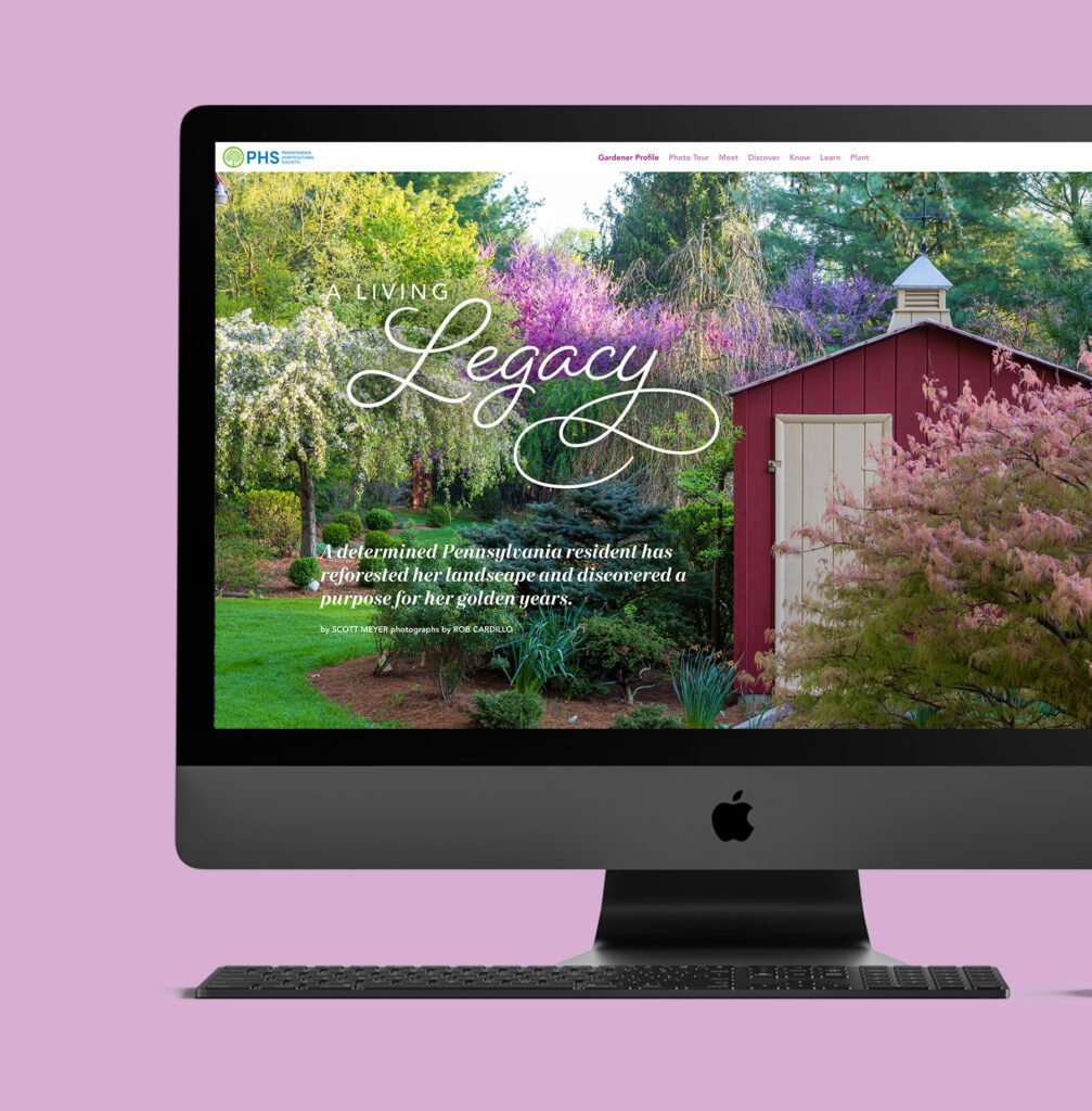 Services - Iris Creative